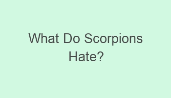 what do scorpions hate 106966