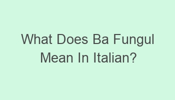 what does ba fungul mean in italian 106551