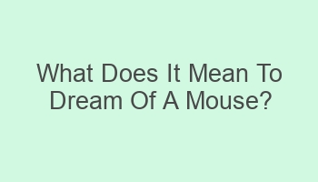 what does it mean to dream of a mouse 108554