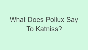 what does pollux say to katniss 107221