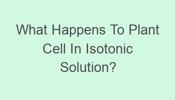 what happens to plant cell in isotonic solution 108409