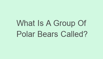 what is a group of polar bears called 106858