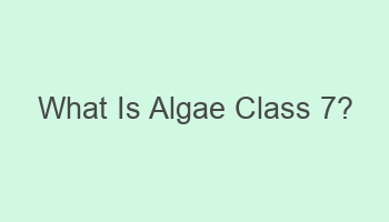 what is algae class 7 107493