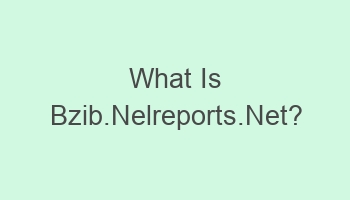 what is bzib nelreports net 108260