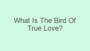 what is the bird of true love 107020