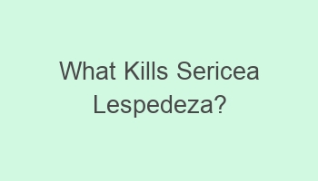 what kills sericea lespedeza 107410