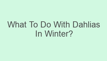 what to do with dahlias in winter 107156