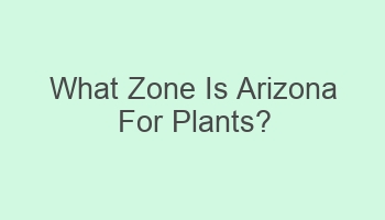 what zone is arizona for plants 106960