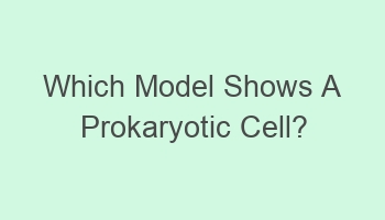 which model shows a prokaryotic cell 108488