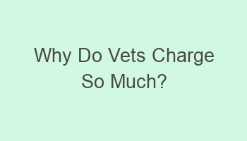 why do vets charge so much 106361