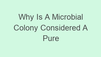 why is a microbial colony considered a pure culture 108507