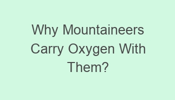 why mountaineers carry oxygen with them 107393