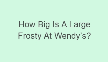 how big is a large frosty at wendycabcs 110132