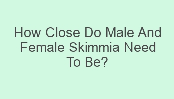 how close do male and female skimmia need to be 110369