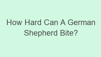 how hard can a german shepherd bite 110366