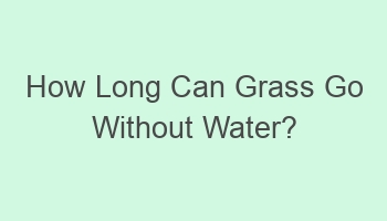 how long can grass go without water 110309