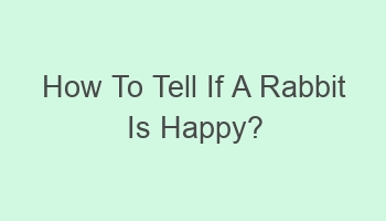 how to tell if a rabbit is happy 110477