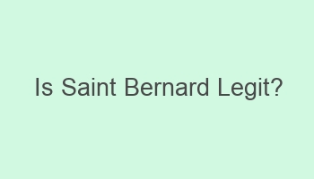 is saint bernard legit 109388