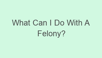 what can i do with a felony 110325