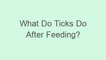 what do ticks do after feeding 109466