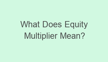 what does equity multiplier mean 110644