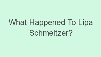 what happened to lipa schmeltzer 110695