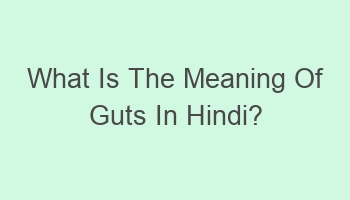 what is the meaning of guts in hindi 109717