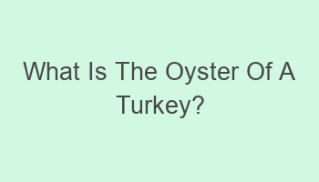 what is the oyster of a turkey 110054