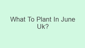 what to plant in june uk 108876