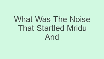 what was the noise that startled mridu and frightened mahendran 110828