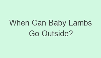 when can baby lambs go outside 109279