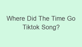 where did the time go tiktok song 108973