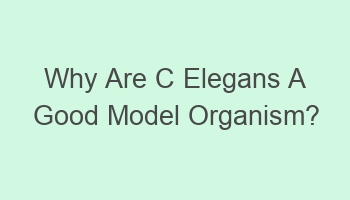 why are c elegans a good model organism 109296