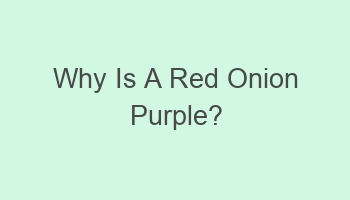 why is a red onion purple 109350